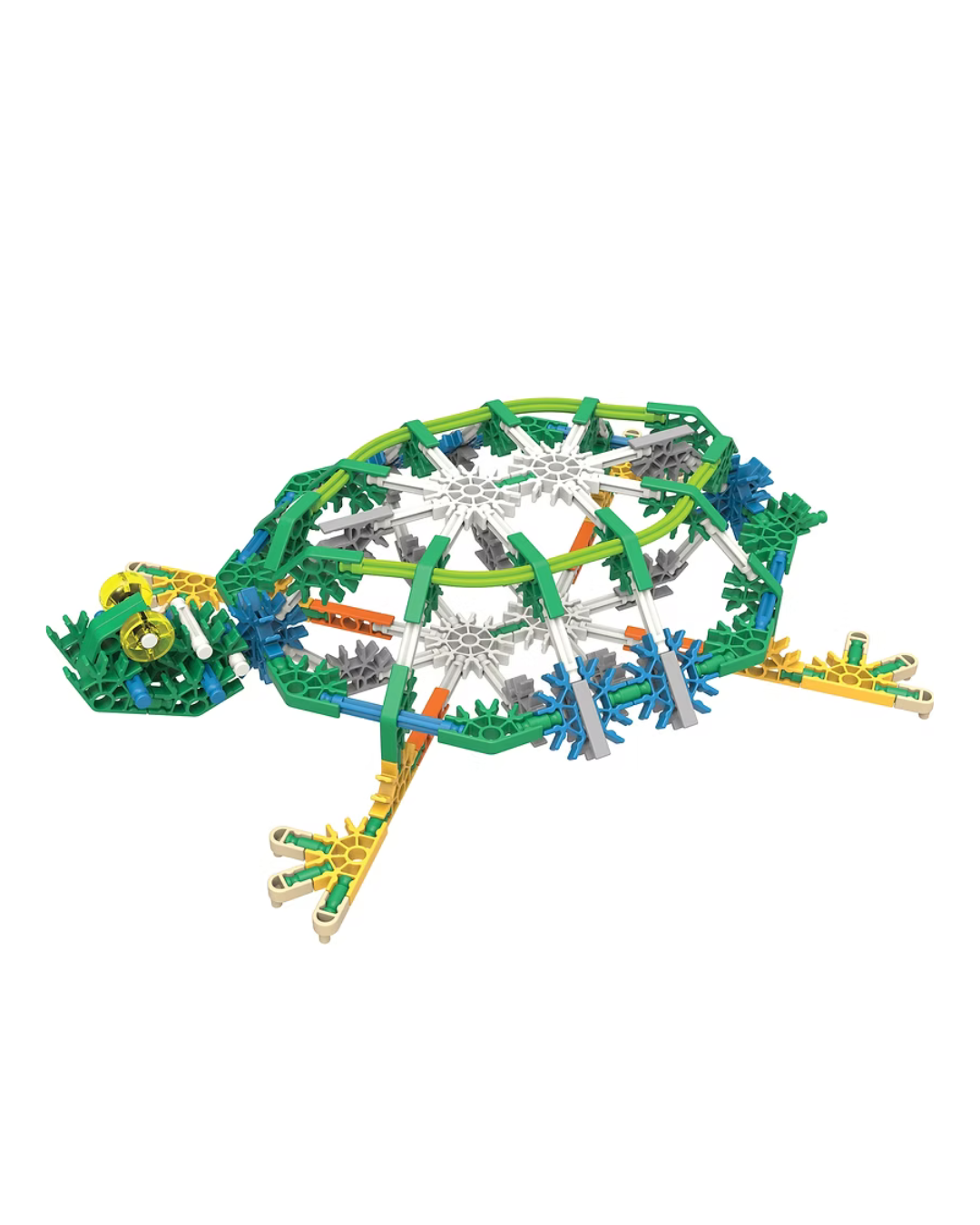 TURTLE